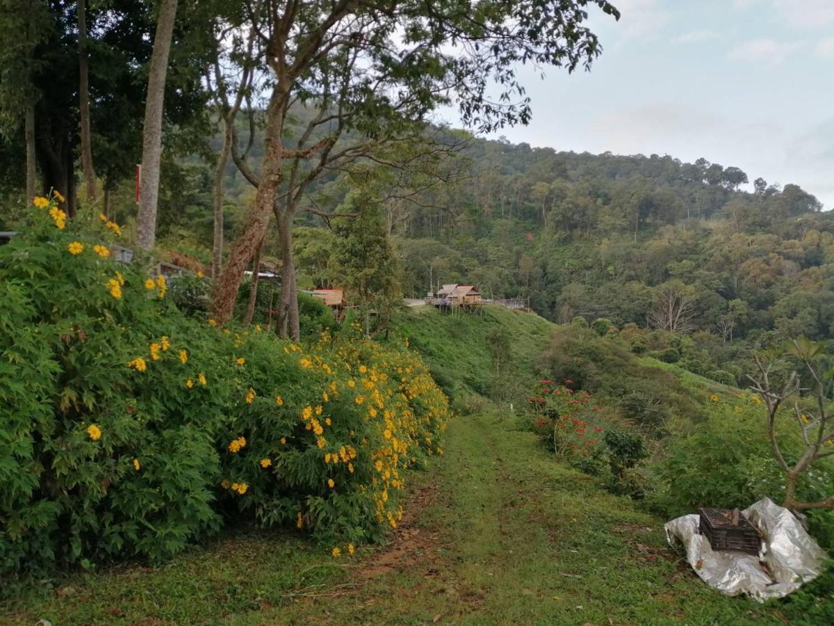 Campsite Ban Chomdoi Phatang
