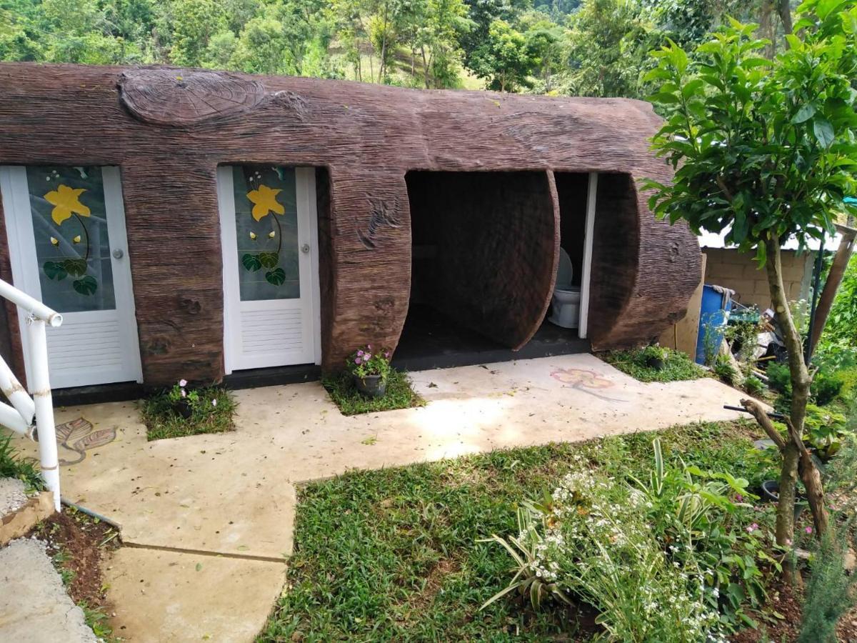 Camping Ban Chomdoi Phatang