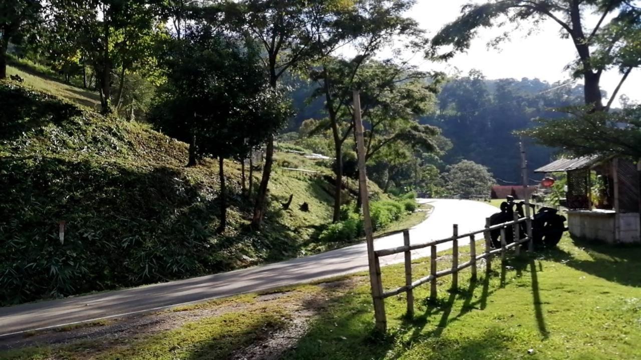 Ban Chomdoi Phatang Camping *